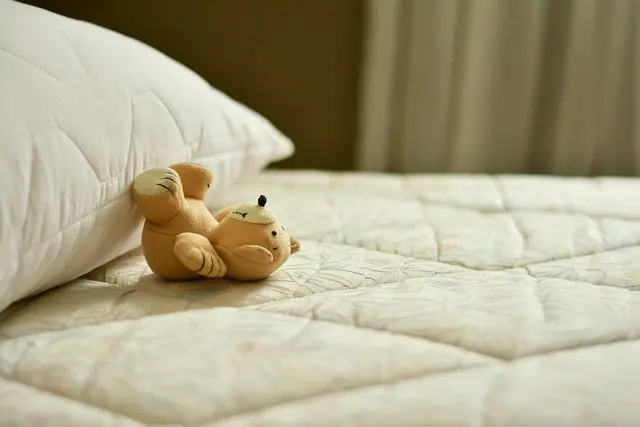 Comment Améliorer Votre Sommeil avec la Chronobiologie